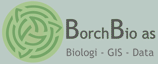 BorchBio AS